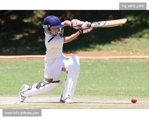 垒球起源故事展示吸引社区居民驻足，了解运动从室内到室外发展历程